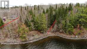 1831 HWY 71|Sabaskong Bay, Lake of the Woods Nestor Falls