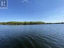 LOT 1 BIG NARROWS ISLAND LAKE OF THE WOODS Kenora