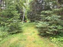 Lot 10 Bear Paw Trail Kenora