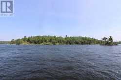 Island D49|Matheson Bay, Lake of the Woods Kenora