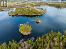 Island D49|Matheson Bay, Lake of the Woods Kenora