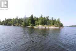 Island D49|Matheson Bay, Lake of the Woods Kenora