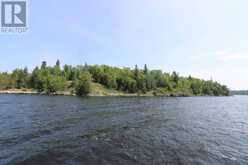 Island D49|Matheson Bay, Lake of the Woods Kenora