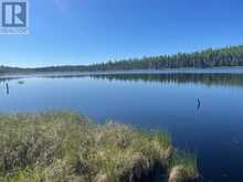 0 Tapio Lake (No Fire #) RD Jacques