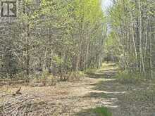 PCL 26819 Purdom Lake Nipigon