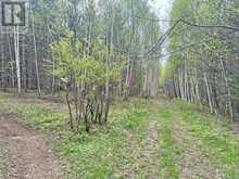 PCL 26819 Purdom Lake Nipigon