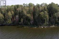 LOT 16 HANSENS BAY LAKE OF THE WOODS Kenora