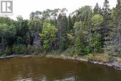 LOT 16 PART 2 BRULE POINT Kenora