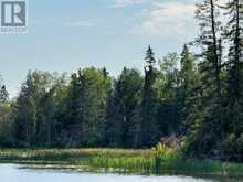 PARTS 4 AND 11 DORION ISLAND Kenora