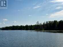 PARTS 4 AND 11 DORION ISLAND Kenora