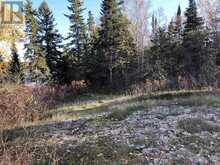 PARTS 3, 9 and 10 Dorion Island Kenora