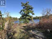 PARTS 3, 9 and 10 Dorion Island Kenora