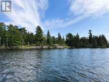 PARTS 3, 9 and 10 Dorion Island Kenora