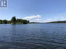 PARTS 3, 9 and 10 Dorion Island Kenora