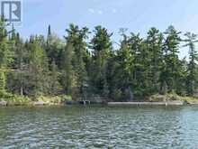 PARTS 3, 9 and 10 Dorion Island Kenora