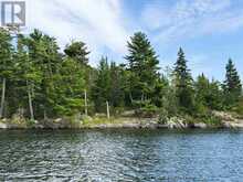 PARTS 3, 9 and 10 Dorion Island Kenora