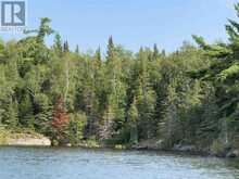 PARTS 3, 9 and 10 Dorion Island Kenora