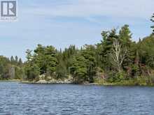 PARTS 3, 9 and 10 Dorion Island Kenora