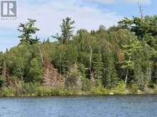 PARTS 3, 9 and 10 Dorion Island Kenora