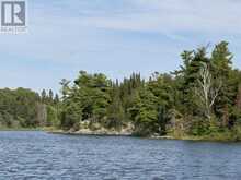 PARTS 3, 9 and 10 Dorion Island Kenora