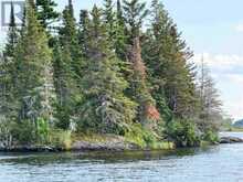 PARTS 3, 9 and 10 Dorion Island Kenora