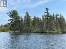 PARTS 3, 9 and 10 Dorion Island Kenora