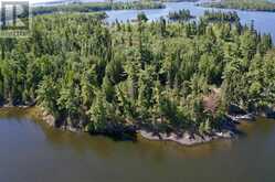 PARTS 3, 9 and 10 Dorion Island Kenora