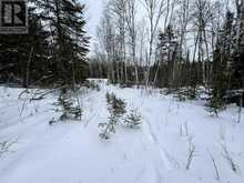 LOT 4 GRASSY LAKE Kenora