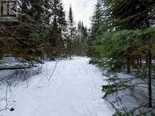 LOT 4 GRASSY LAKE Kenora