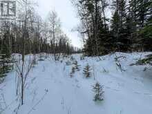 LOT 4 GRASSY LAKE Kenora