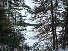 LOT 4 GRASSY LAKE Kenora